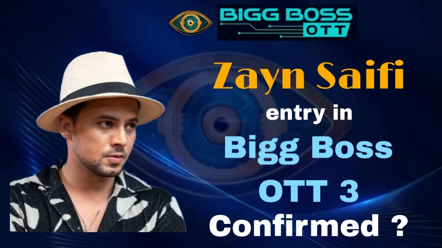 Zayn Saifi in Bigg Boss OTT 3